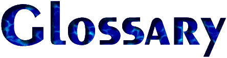 Glossary