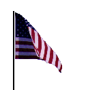 US Flag (animated)
